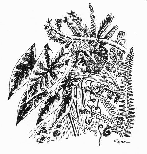 Javier Tafur González